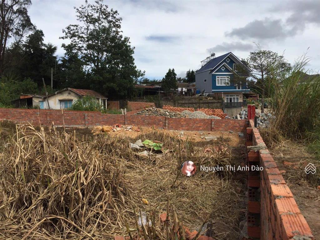 Đất đường triệu việt vương, phường xuân hương  đà lạt, tỉnh lâm đồng