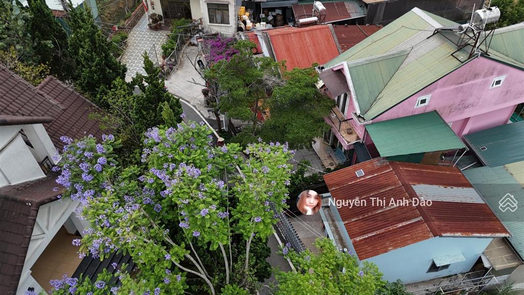Villa sân vườn tô hiến thành phường xuân hương đà lạt