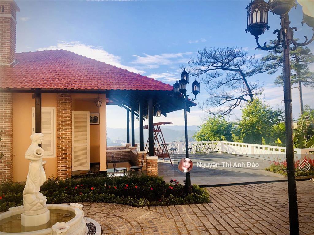 Biệt thự pháp cổ view thông vĩnh viễn thuận tiện nghỉ dưỡng kinh doanh du lịch tại đà lạt