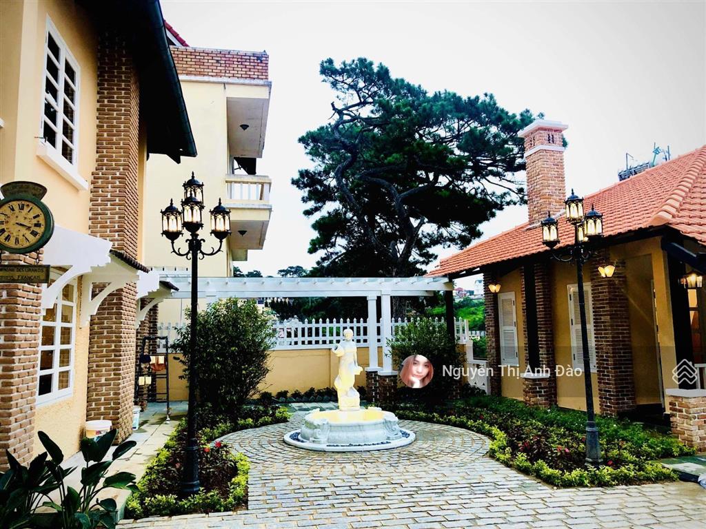 Biệt thự pháp cổ view thông vĩnh viễn thuận tiện nghỉ dưỡng kinh doanh du lịch tại đà lạt
