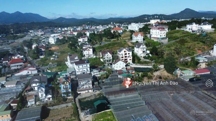 Bán đất mặt tiền đồi huy hoàng thuận tiện kinh doanh nhiều ngành nghề tại đà lạt