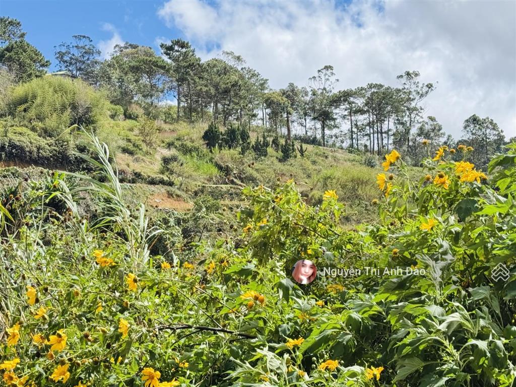 Kẹt ngân hàng cần bán đất đẹp tại đa phú, 25,5 tỷ, 2748m2, nhiều tiện ích hấp dẫn