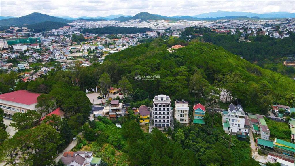 Bán đất nghỉ dưỡng đường trần quang diệu phường xuân hương  đà lạt view thông vĩnh viễn