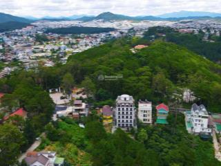 Bán đất nghỉ dưỡng đường trần quang diệu phường xuân hương  đà lạt view thông vĩnh viễn