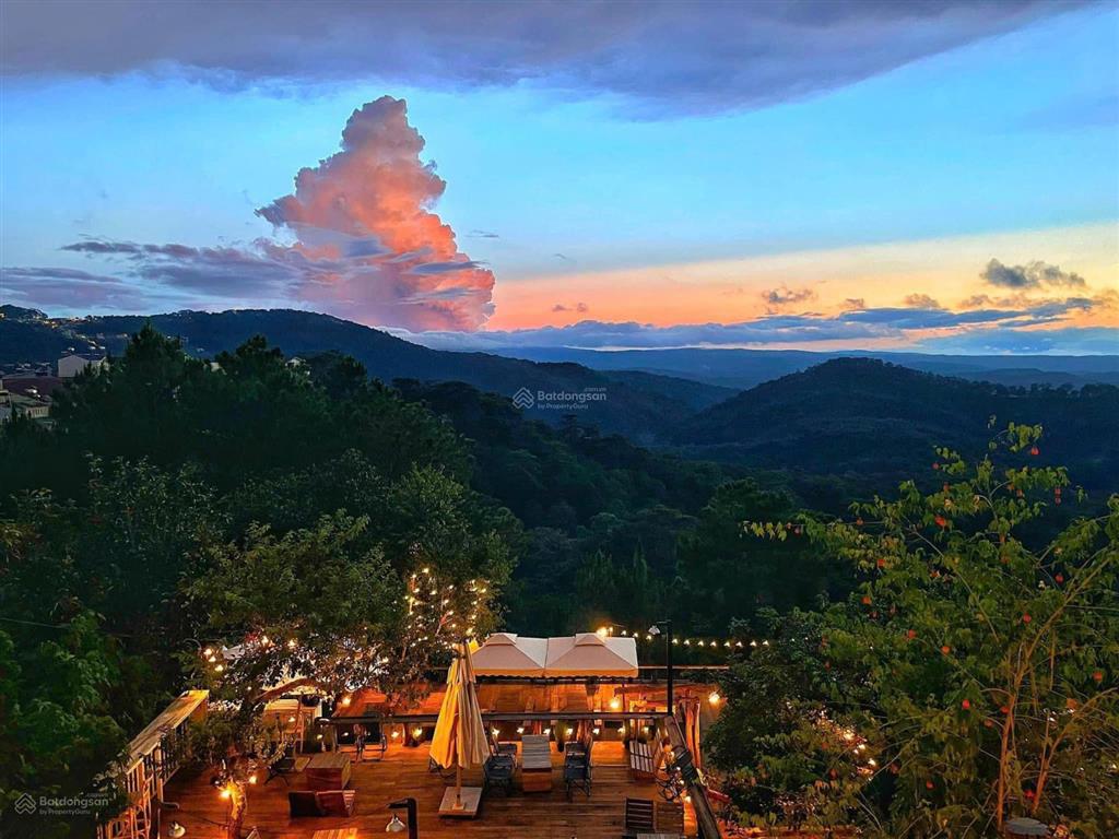 Bán đất nghỉ dưỡng đường trần quang diệu phường xuân hương  đà lạt view thông vĩnh viễn
