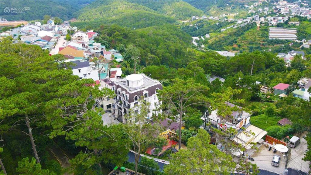 Bán đất nghỉ dưỡng đường trần quang diệu phường xuân hương  đà lạt view thông vĩnh viễn