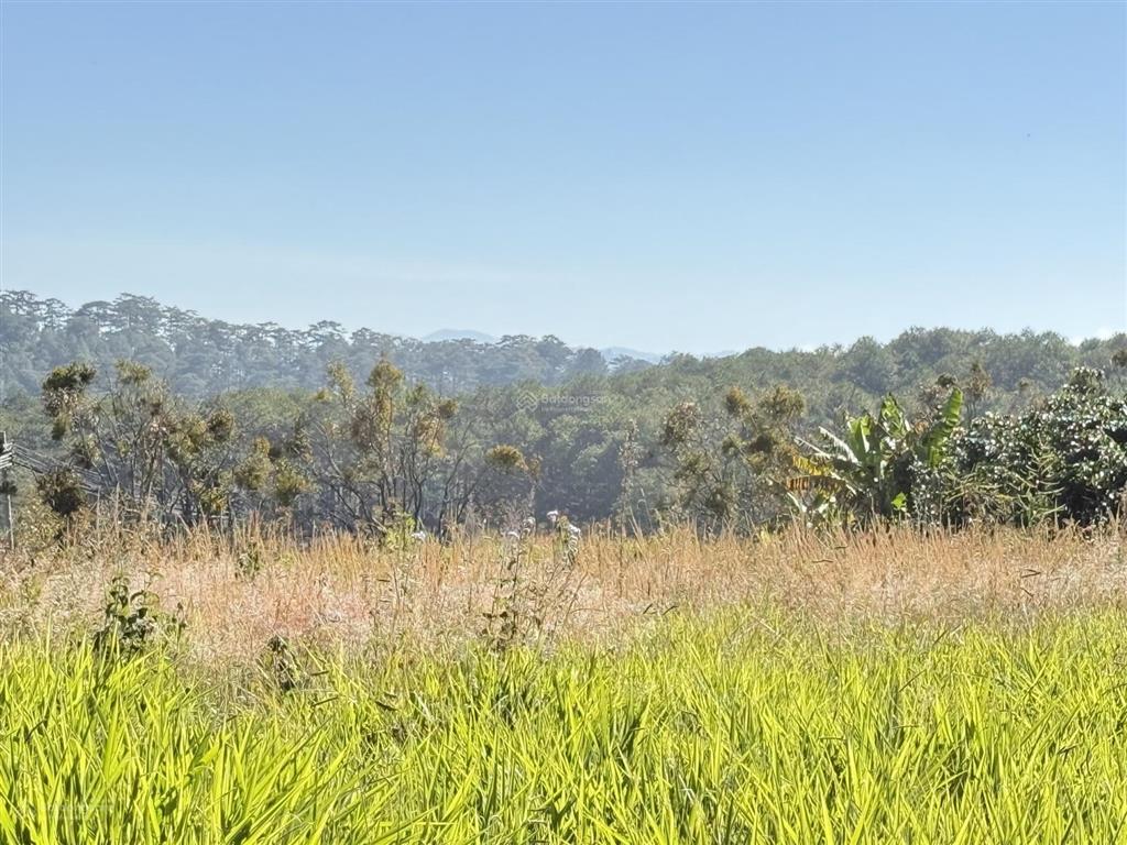 Đất cực rẻ view săn mây tại xuân thọ thuận tiện nghỉ dưỡng.