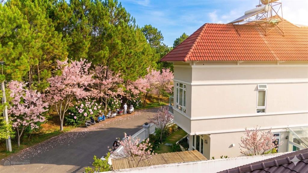 Bán biệt thự kqh an sơn phường xuân hương  đà lạt thuận tiện nghỉ dưỡng view thông vĩnh viễn.