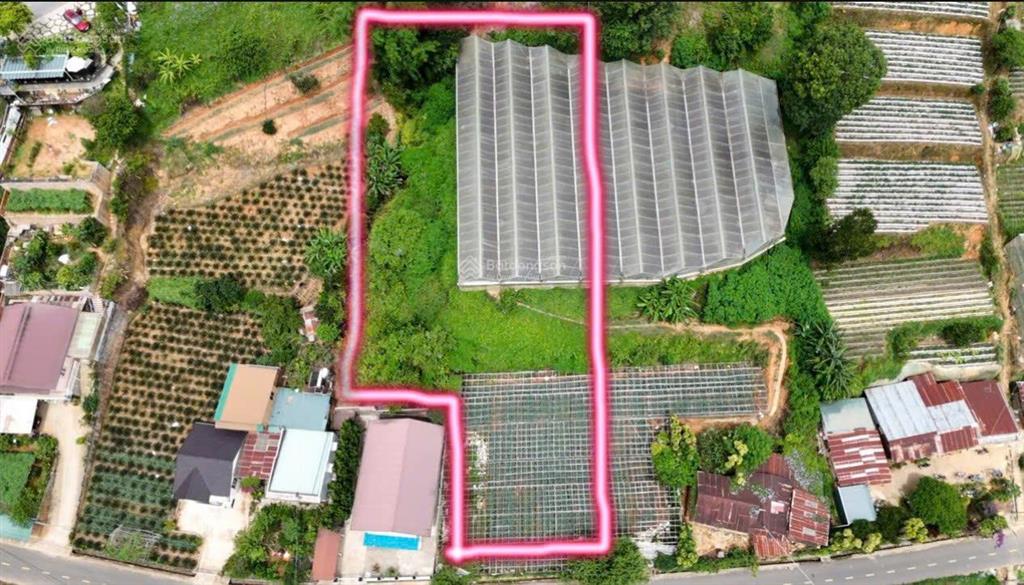 Cần bán gấp đất mt đa phú đà lạt, giá chỉ 9tr/m2 mặt tiền nhựa thuận tiện kinh doanh lưu trú
