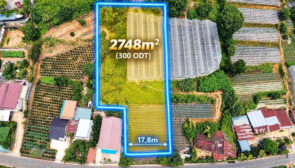 Đất mặt tiền đường đa phú, phường lang biang  đà lạt, lâm đồng. thuận tiện kinh doanh du lịch.