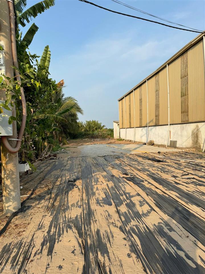 Chính chủ bán đất mặt tiền quốc lộ 91 mỹ phú, châu phú, an giang, shr