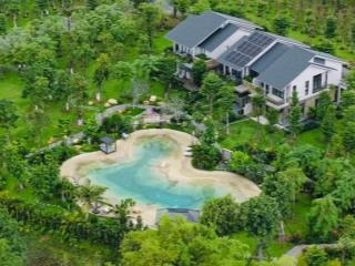 Kẹt tiền ngân hàng cần bán gấp lại biệt thự rừng eco retreat giá tốt mua đợt 1.