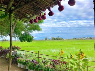 Bán nhanh đất an mỹ, cẩm châu, hội an chỉ 3.35 tỷ cực hiếm