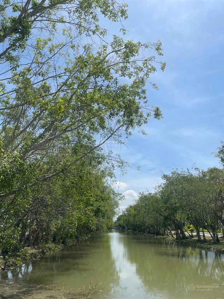 Đất kdc phú xuân  vạn phát hưng, nhà bè. view kênh dt 240m2, giá 52tr