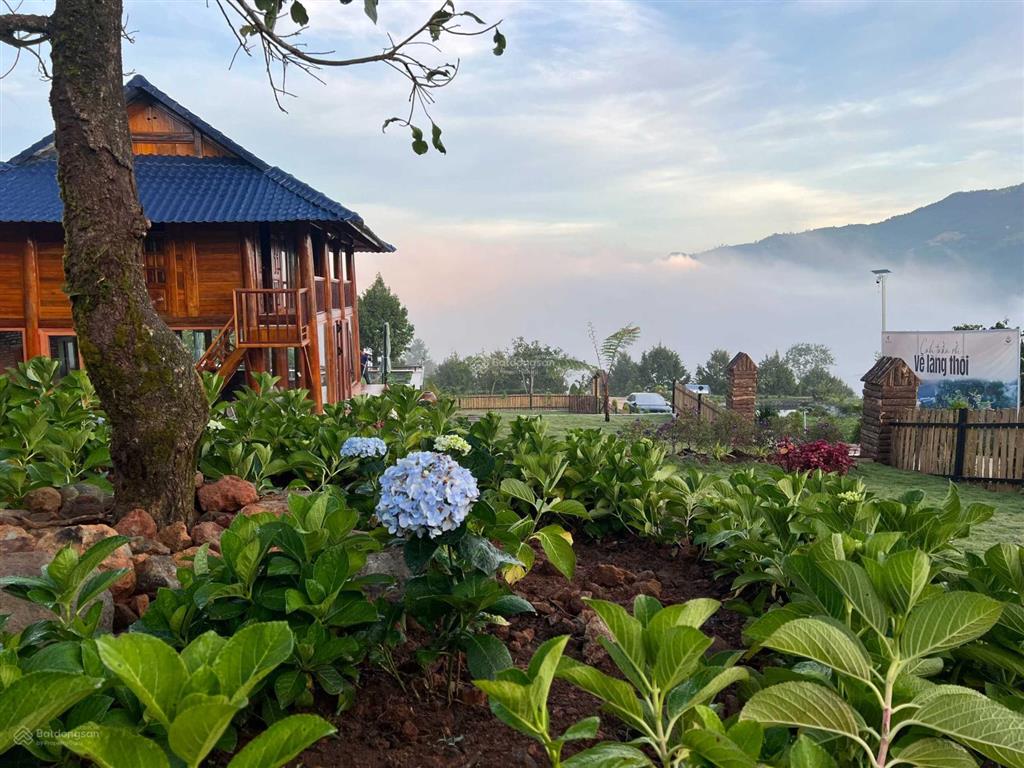 Làng oa  chỉ 2,390 tỷ sở hữu 1000m2 full thổ cư với nhà gỗ view săn mây, an ninh 24/7