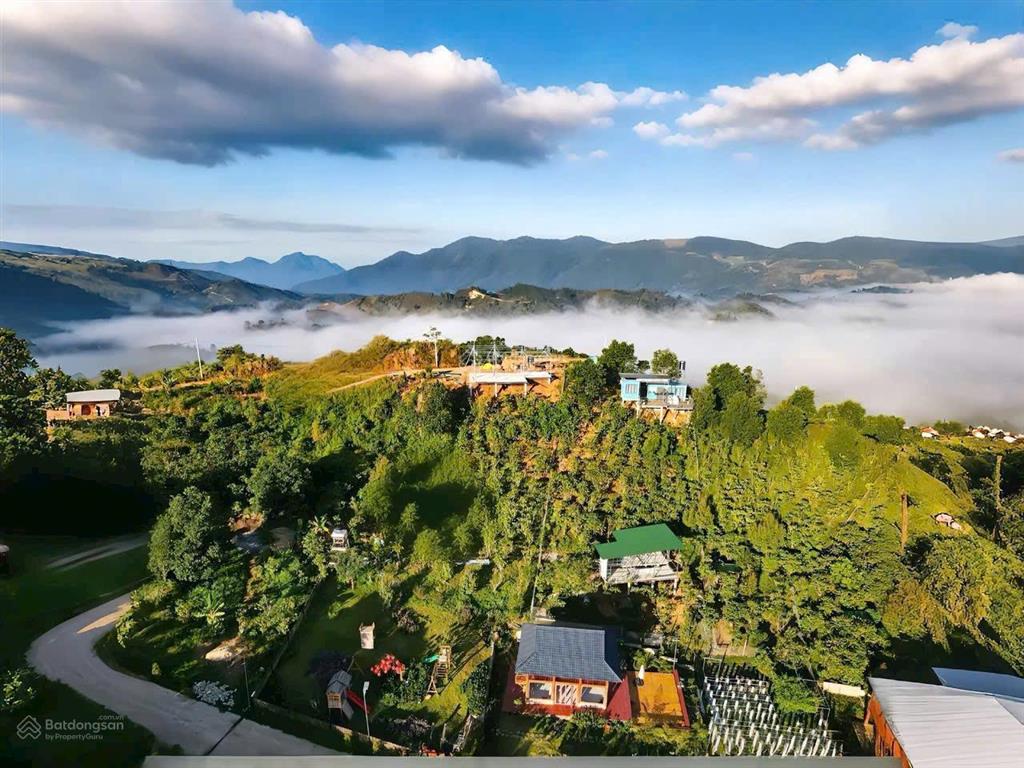 Làng oa  chỉ 2,390 tỷ sở hữu 1000m2 full thổ cư với nhà gỗ view săn mây, an ninh 24/7