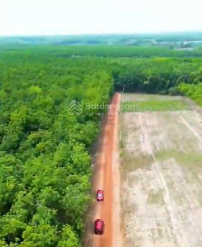 Bán đất sổ hồng riêng giá chỉ từ 139 triệu/nền.