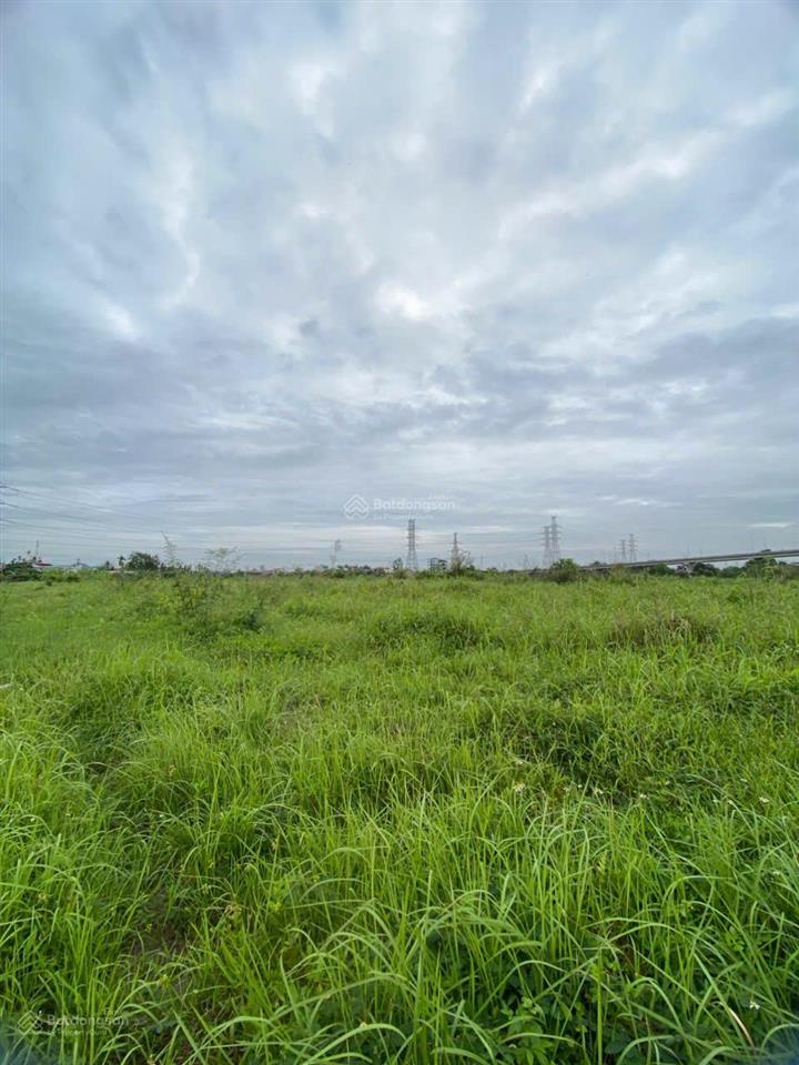 Bán đất nhà máy, kho, xưởng 10800 m2 kcn nghĩa phong, nghĩa hưng, nam định, hồng phong, ninh bình