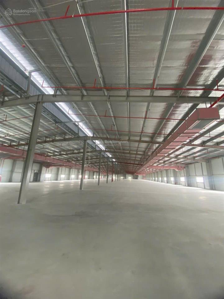 Cho thuê ngay kho, xưởng 20.000 m2 kcn mỹ thuận, mỹ lộc, nam định, xưởng tiêu chuẩn, chính chủ