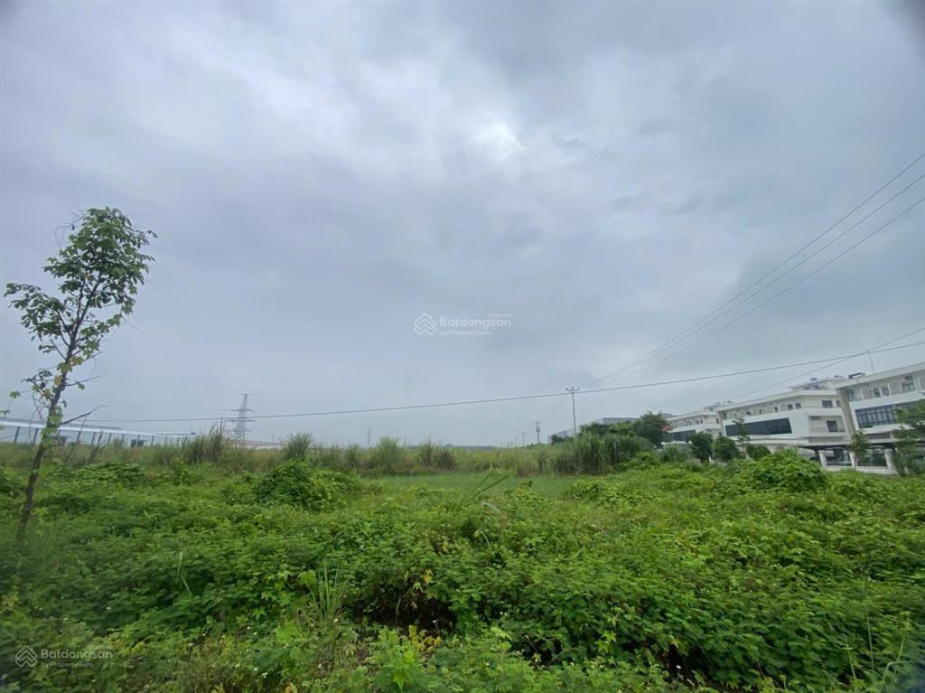 Chuyển nhượng nhà máy 8 ha yên mỹ hưng yên, 1,7 triệu/m2 chính chủ, sẵn sổ đỏ