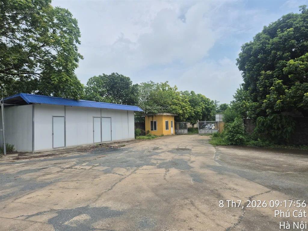 Cho thuê ngay kho, bãi 9800m2 phú cát, quốc oai hà nội, trạm trộn bê tông chính chủ