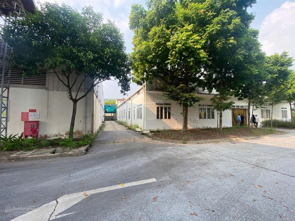 Bán gấp nhà máy may 18000 m2 giá 75 tỷ xã quang vinh, ân thi, hưng yên chính chủ