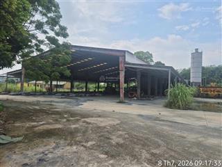 Cho thuê kho, bãi 9800m2 phú cát, quốc oai hà nội, trạm trộn bê tông chính chủ