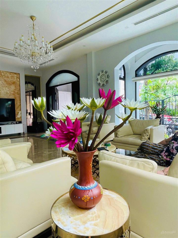 Chuyển nhượng căn song lập paris đường thông, mặt tiền 10m