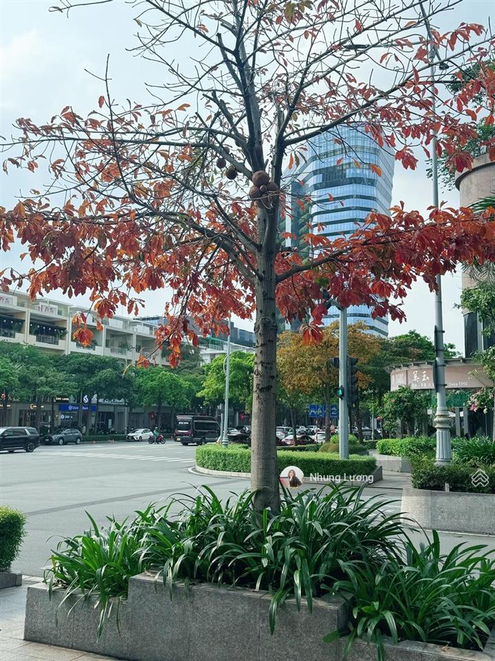 Full giỏ hàng 20 căn bán shop sarina, sarimi, sarina,...  em nhung chuyên sala