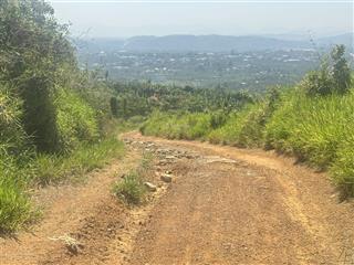 Đất vườn 5723m2 cafe xanh mượt giá tốt tại thôn 15 lộc thành, đất bằng đỉnh, view thoáng đẹp