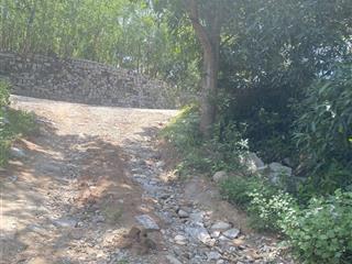 Hơn 5000m2 đất nông nghiệp gần suối chỉ hơn 4 tỷ chút xíu. 0935 907 ***