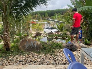 Chính chủ cần bán farm nhà vườn khánh vĩnh  0905,976,175 linh