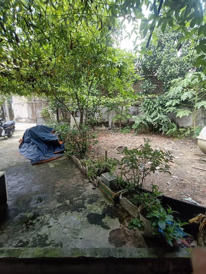 Bán 6363m2 đất đường xe tải, kề dương công khi, hóc môn, 8,5tr/m2