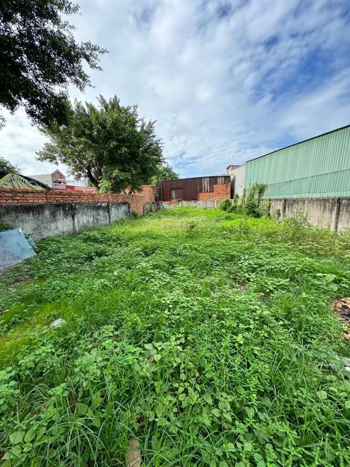 Nhỉnh 5 tỷ đất 8x14m đường nhựa, bà điểm, hóc môn