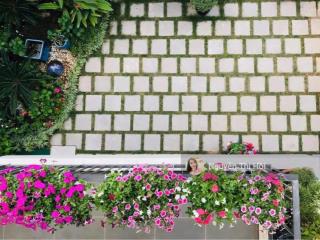 Cơ hội hiếm biệt thự 130m2 vinhomes thăng long giảm ngay 1 tỷ