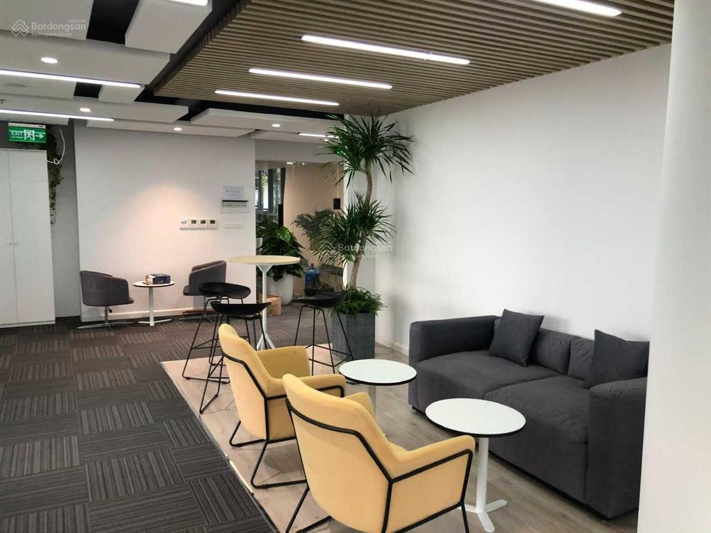 Cho thuê văn phòng tòa nhà vũng tàu  205a lê hồng phong  meet coworking space