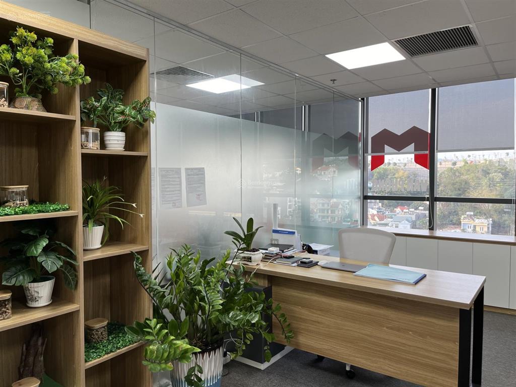 Cho thuê văn phòng tòa nhà vũng tàu  205a lê hồng phong  meet coworking space