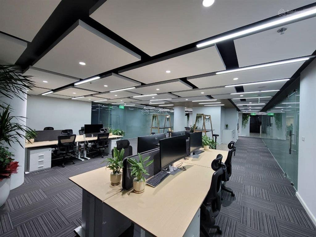 Cho thuê văn phòng tòa nhà vũng tàu  205a lê hồng phong  meet coworking space