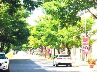 Cần bán lô đất nền shophouse fpt city đà nẵng giá rẻ nhất thị trường
