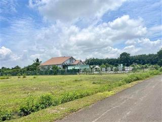 Bán gấp 5x50=250m2 shr t cư, mt nhựa đh 519, kế bên kcn dân cư đông, kinh doanh nhộn nhịp giá 730tr