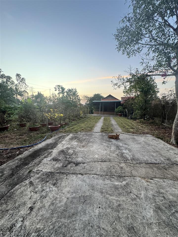 Bán nhanh lô đất đẹp 2.045m2 có 300m2 thổ cư giá 6 tỷ, đã có sổ, tại xã nghĩa thành, hcm