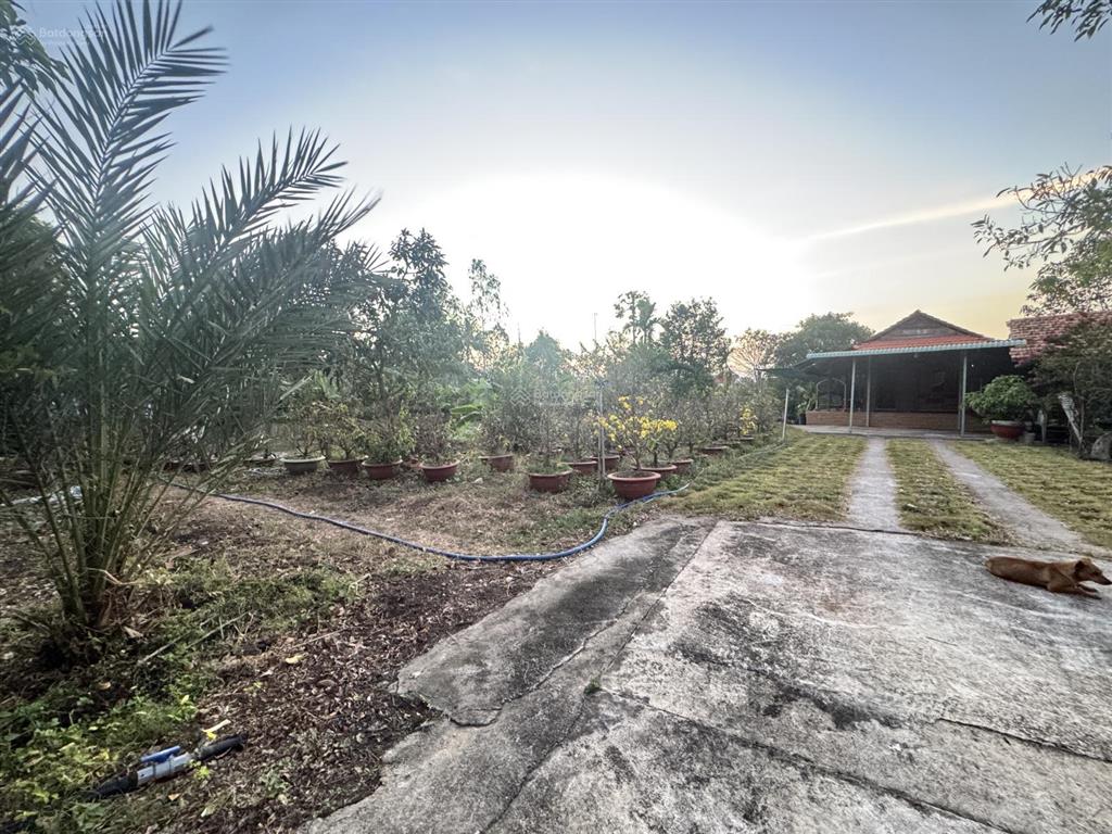 Bán nhanh lô đất đẹp 2.045m2 có 300m2 thổ cư giá 6 tỷ, đã có sổ, tại xã nghĩa thành, hcm