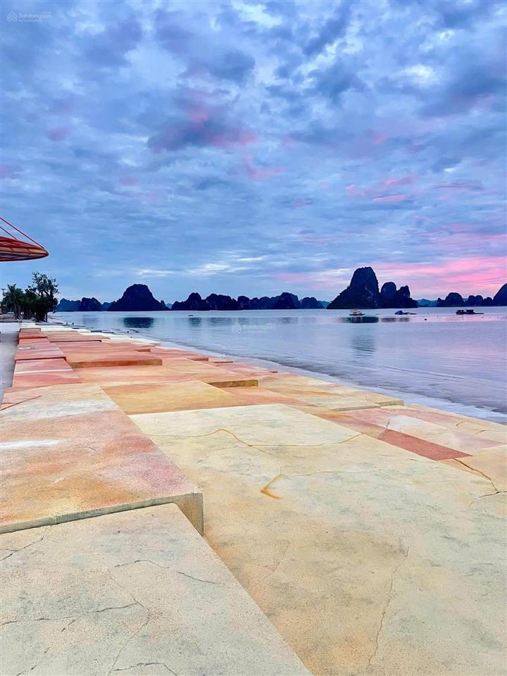 Cắt lỗ sâu lô đất sau mặt kinh tế đêm lk 09 gần trung tâm thương mại
