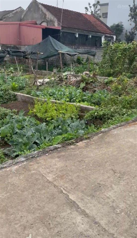 Bán lô 83.1m2 đất đa chất, đại xuyên  hà nội