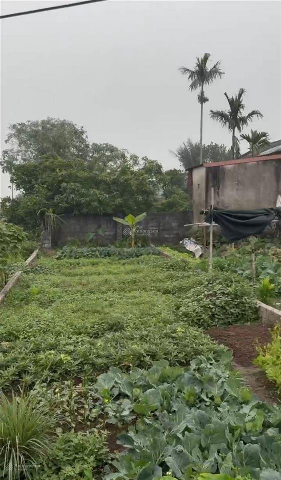 Bán lô 83.1m2 đất đa chất, đại xuyên  hà nội