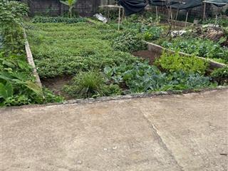 Bán lô 83.1m2 đất đa chất, đại xuyên  hà nội