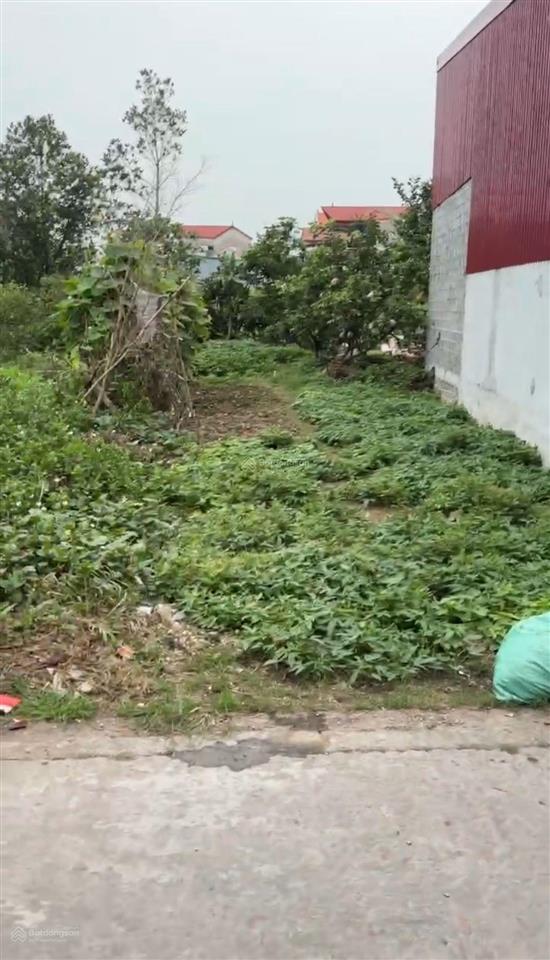 Chính chủ cần bán gấp lô 97m2 tri trung phú xuyên hà nội (hồng minh phú xuyên)