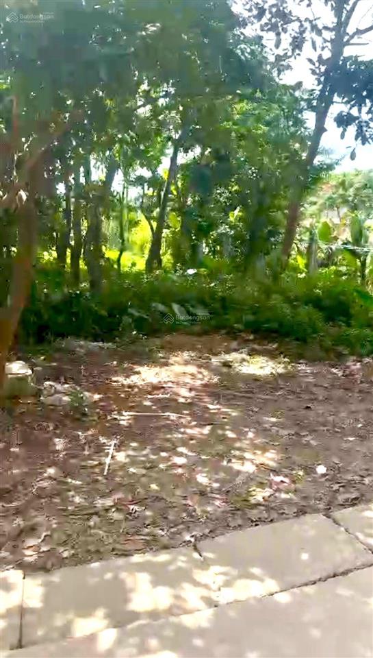 Bán lô 100m2 siêu phẩm đấu giá đào xá phượng dực hà nội.