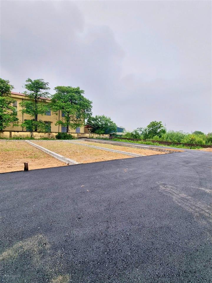 Siêu phẩm dt 89.5m2 an lãng văn tự  thường tínhn( thôn an lãng  phú xuyên  hn)
