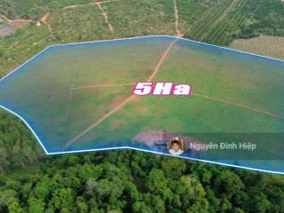 Bán 5ha đất trắng gần trung tâm, sẵn hồ bạt, đất bằng như sân, chất đất đẹp giá 4.8 tỷ